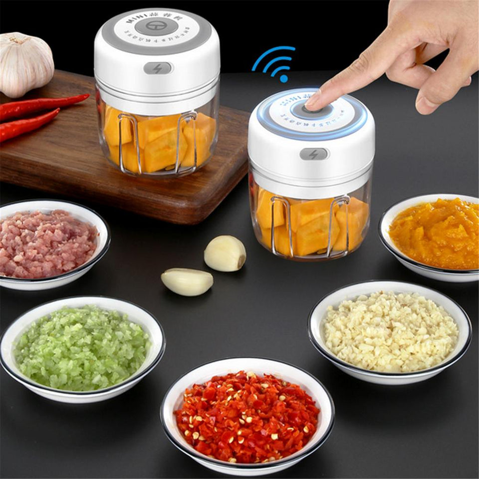 Electric Mini Food Chopper